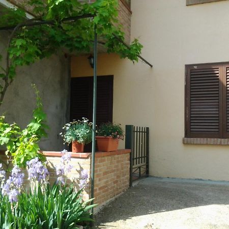 Appartamento In Collina "La Perla" Riparbella Exteriér fotografie