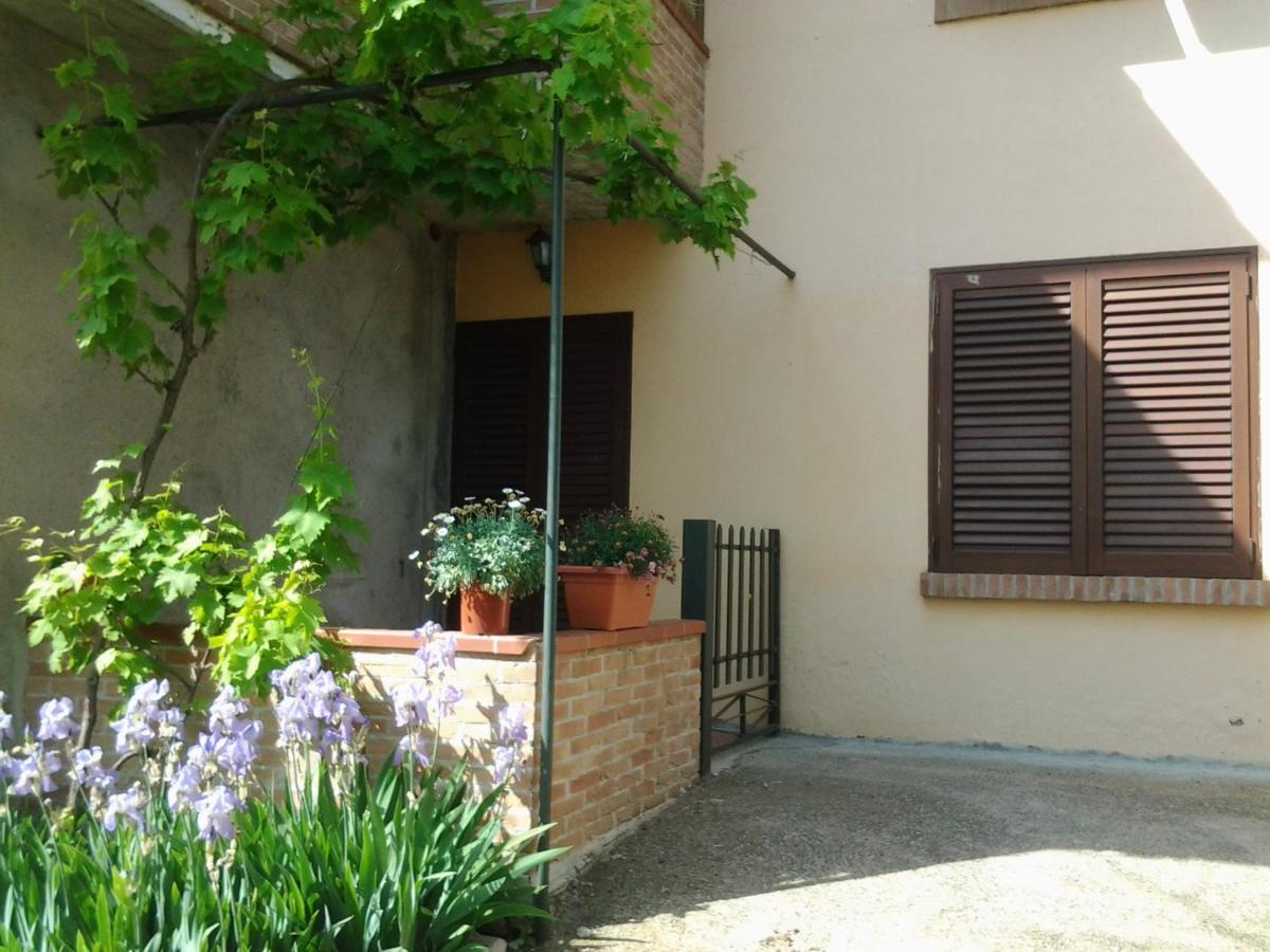 Appartamento In Collina "La Perla" Riparbella Exteriér fotografie